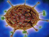 فيروس نيباه ينطلق من كندا ويثير ذعرا عالميا.. منظمة الصحة تكشف الكواليس