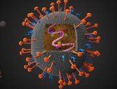 تسجيل حالتي إصابة بفيروس نيباه القاتل في الهند يثير حالة من القلق عالميا