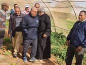 وكيل زراعة الوادى الجديد يتفقد الزراعات الشتوية والصوب المحمية بمركز الداخلة
