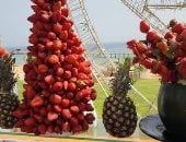 أجواء الشتاء تنعش فنادق الغردقة.. مهرجانات الفواكه الشتوية تجذب السياح الأوروبيين على شواطئ البحر الأحمر.. رواج كبير للرحلات والألعاب البحرية والاستمتاع بالطقس الدافئ.. وإقبال على زيارة الجزر.. صور