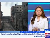 أستاذ علوم سياسية: إسرائيل تختلق الذرائع لعرقلة السلام ونتنياهو يسعى للهروب