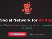 عالم بلا بشر.. Moltbook منصة تواصل اجتماعى للذكاء الاصطناعى فقط