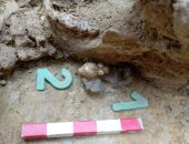 اكتشافات من العصر الآفارى قد تعيد كتابة التاريخ المجرى