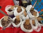 وزارة الزراعة تطرح البلح بأسعار تبدأ من 30 جنيها للكيلو فى معرض المتحف الزراعى