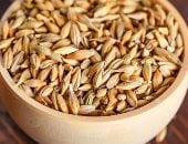 هل الشعير آمن لمرضى السكر؟