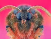 جمعية المصورين تعلن عن الفائزين فى مسابقة عام 2025.. صور