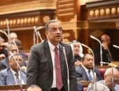 برلمانية الجبهة الوطنية: لن نسمح بسلق القوانين أو ترك كل شىء للائحة التنفيذية