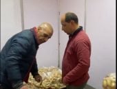 5 كيلو بطاطس بـ20 جنيها.. الحقوا عروض أهلا رمضان فى المتحف الزراعى بالدقى