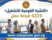 وزارة العمل: 4379 فرصة عمل جديدة فى 12 محافظة ضمن نشرة التوظيف