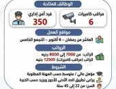 قدم الآن.. وزارة العمل تعلن عن 356 وظيفة شاغرة برواتب تصل لـ12500 جنيه
