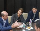 التنمية الثقافية ووفد صينى يستعدان لمهرجان الفنون العربية 2026