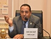 النائب محمد شعيب: رؤية الرئيس السيسي في إدارة الأزمات درع أمان لمصر