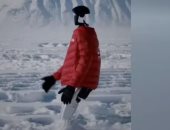 يمشى فى الثلج العميق.. روبوت يخطو مسافة قياسية فى ظروف شديدة البرودة