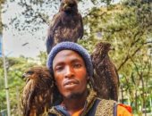 رجل الطيور فى نيروبى.. حكاية مشرد يحرس الكائنات الجريحة بكينيا "فيديو"