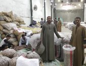 «السكوتي والقندلية والبرتمودا».. البلح أشكال وألوان داخل سوق بيع الجملة فى الغربية.. الأسعار في متناول الجميع ولا تختلف عن العام الماضي.. وتجار: سوق «العتاسة» قلب تجارة التمور في طنطا.. ويؤكدون: موسم خير.. صور