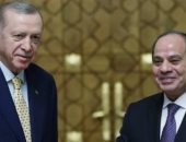 خبير دولى: مصر وتركيا تشكلان جبهة موحدة لحماية الأمن القومى العربى