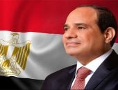 الإعلام الجزائرى يبرز تصريحات الرئيس السيسى ردًا على إشادة تبون بالعلاقات مع مصر..فيديو