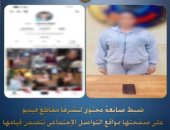 القبض على بلوجر لنشرها فيديوهات خادشة من أجل اللايكات