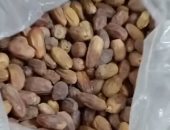 السكوتي وقنديله والشبح.. أنواع التمور بكفر الشيخ والكيلو يبدأ من 20 جنيها.. فيديو