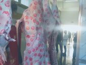 التنمية المحلية تعلن التشغيل التجريبى لمجزر بلطيم بتكلفة 36.7 مليون جنيه