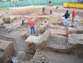 هل استخدمت الأفيال فى زمن الحروب فى إسبانيا؟