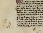 معرض آثار أقدام على الرق يتتبع كيفية تصوير القطط فى العصور الوسطى