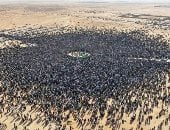 النيابة الليبية تواصل التحقيق في جريمة اغتيال سيف الإسلام القذافي