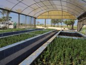 محطة بحوث الصحراء بالشيخ زويد.. ركيزة علمية لتنمية الزراعة في سيناء.. صور