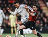 تعادل بورنموث ضد أستون فيلا.. وسقوط فولهام ضد إيفرتون فى الدورى الإنجليزى