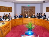 وزير الخارجية يلتقي سفراء مصريين سابقين متخصصين فى الشأن الافريقى