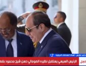 حامد فارس: وحدة الصومال خط أحمر وأمن البحر الأحمر أولوية مصرية