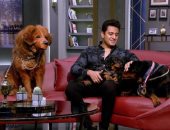 باسم هانط في واحد من الناس: عندى كلب بـ6 ملايين جنيه