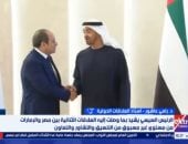 تفاصيل زيارة الرئيس السيسى إلى الإمارات ولقائه الشيخ محمد بن زايد