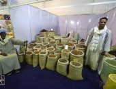 أهلاً رمضان بالقاهرة والجيزة.. توافر كثيف للسلع الغذائية ومستلزمات الشهر الكريم