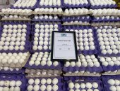 طرح كرتونة البيض بـ115 جنيها فى معرض أهلا رمضان الرئيسى بمدينة نصر