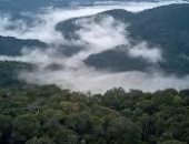 تبخر الأنهار الطائرة.. تقرير يحذر من تهديد جفاف الأمازون للحياة فى القارة