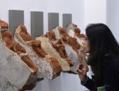 معرض الهند للفنون التشاركية 2026.. مزيج من الفن والابتكار والاستدامة