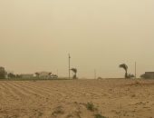 تحذيرات مهمة من وزارة الزراعة للمزارعين لتجنب الآثار السلبية للتقلبات الجوية