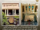 النيابة الإدارية تشرف قضائيا على إعادة المرحلة الثانية لانتخابات المحامين الفرعية