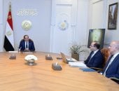 وزير المالية يستعرض أمام الرئيس السيسى تطورات المفاوضات مع صندوق النقد