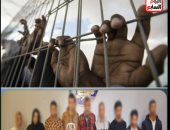 تفاصيل حبس 6 متهمين بواقعة إجبار شاب على ارتداء ملابس نسائية فى بنها 4 أيام