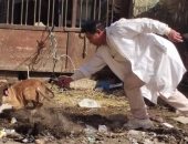 بيطرى الفيوم يكثف حملات تحصين الكلاب لمكافحة السعار ضمن رؤية مصر 2030