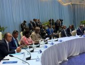 وزير الخارجية يستعرض رؤية مصر لتعزيز الشراكة الاستراتيجية وتحقيق التنمية المستدامة