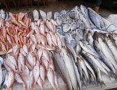 انتعاش سوق السمك فى الإسكندرية.. شاهد الجمبرى والكابوريا والمرجان والسبيط.. فيديو