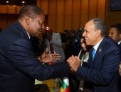 وزير الخارجية يلتقى رئيس جمهورية أفريقيا الوسطى ورئيس وزراء الكاميرون