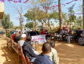 فراولة القليوبية ريادة زراعية تعزز مكانة مصر التصديرية