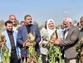 زراعة الإسماعيلية تعلن انطلاق موسم حصاد بنجر السكر فى أبوصوير 