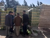 تموين المنوفية: ضبط طن ونصف زيت و23 ألف عبوة سمن نباتى مجهولة المصدر 