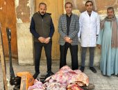 وكيل الطب البيطرى بسوهاج يقود حملة لضبط لحوم فاسدة فى أول شهر رمضان