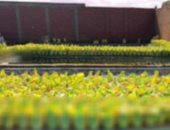 بوزن 210 طن.. سقوط "حوت الأسمدة المجهولة" فى القليوبية